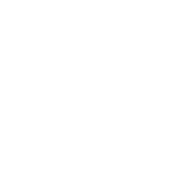 primp and blow logo