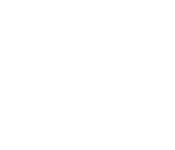 caine company logo